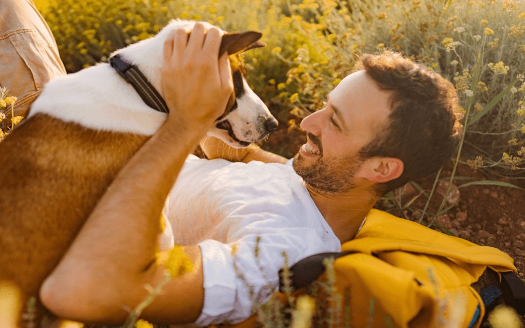 Emotional Resilience